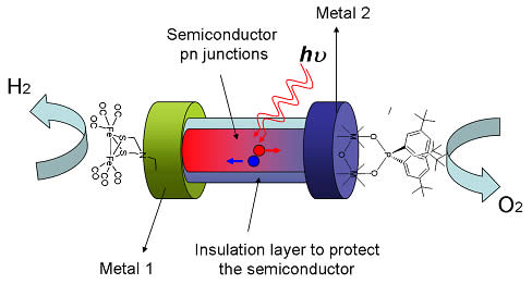 electrocatalytic