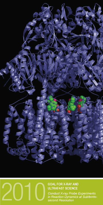 Ribosome image - 2010 Goal for X-Ray and Ultrafast Science: Conduct X-ray Probe Experiments in Reaction Dynamics at Subfemtosecond Resolution.