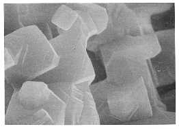 sintered material that appears
faceted
