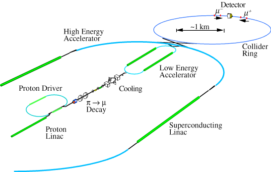 Ring Schematic