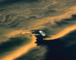 gulf-oil-spill_2