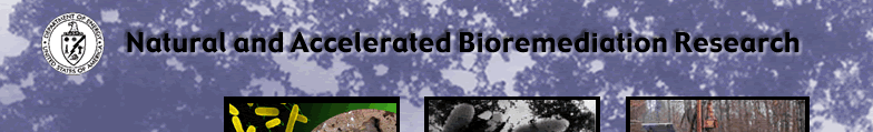 Natural and Accelerated Bioremediation Research banner graphic
