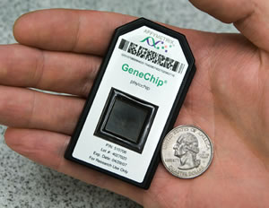 PhyloChip image