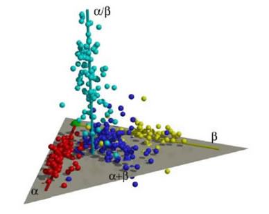 Image of three-dimensional map of the protein universe