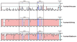 Image of a genomic chart