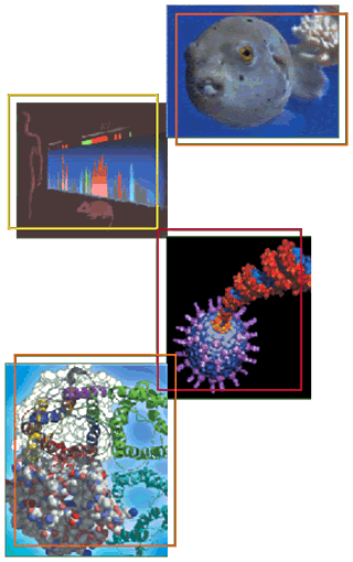Biosciences and Health image collage