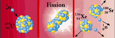 nuclear fission products