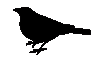 Text Box: