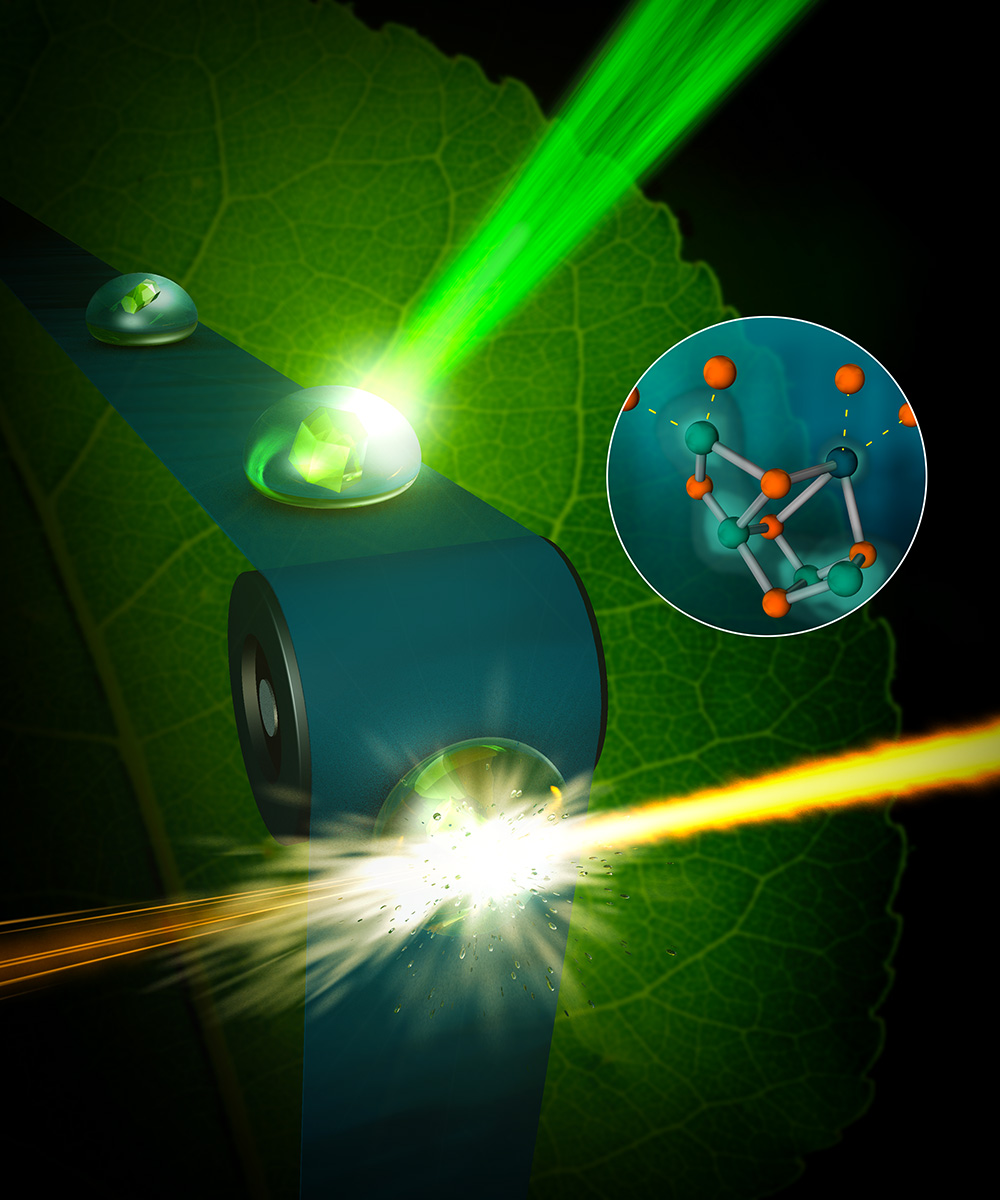 Photosystem II and XFELs